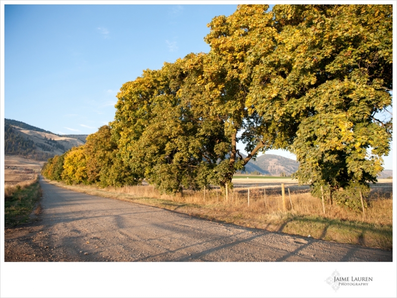 Okanagan autumn sunset in Coldstream, British Columbia