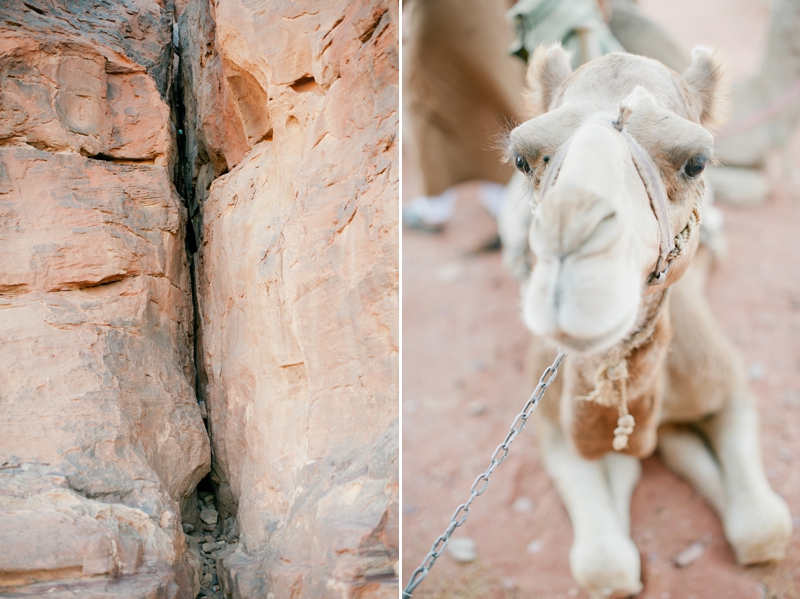 Crack in Desert Wall and Kneeling Camel