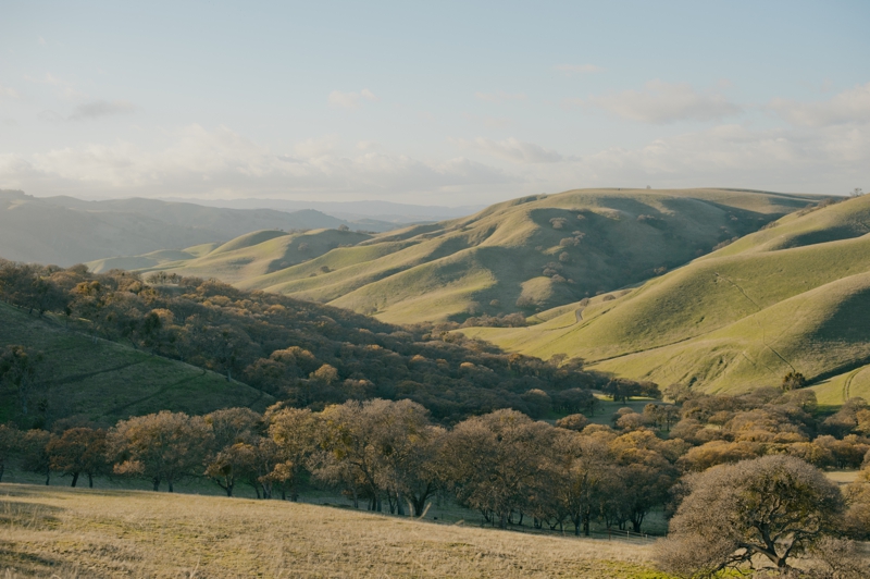 Late afternoon hills at Del Valle