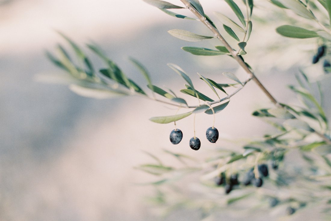 © Jaime Lauren Photography_001