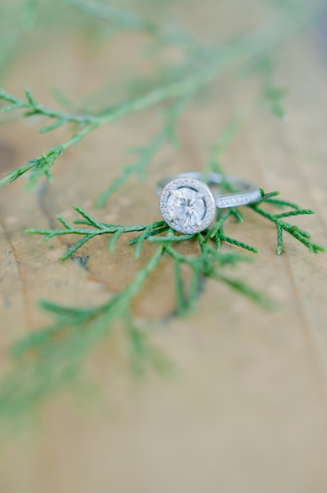 © Jaime Lauren Photography_003